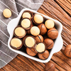 Roasted Inshell Macadamia