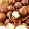 Roasted Inshell Macadamia