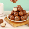 Roasted Inshell Macadamia