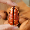 Roasted Inshell Pecan Nut