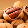 Roasted Inshell Pecan Nut
