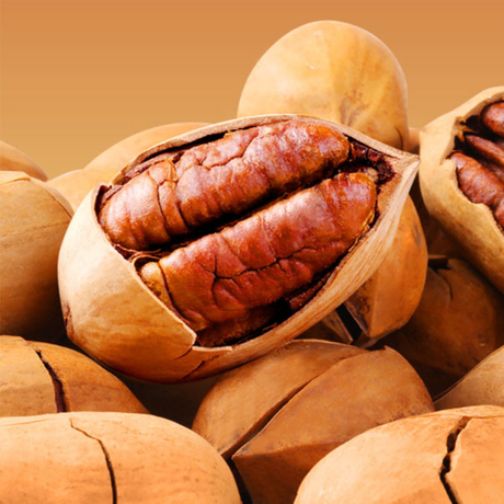 Roasted Inshell Pecan Nut