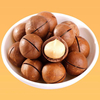 Roasted Inshell Macadamia
