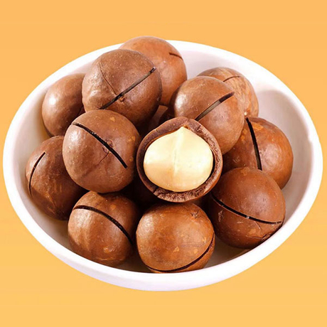 Roasted Inshell Macadamia