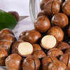Roasted Inshell Macadamia